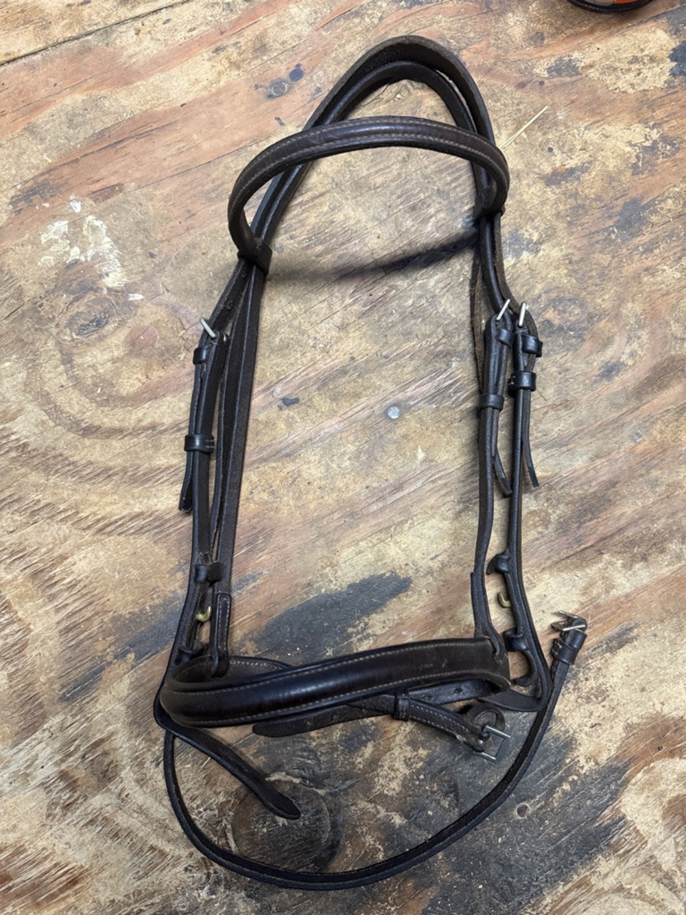 Pony bridle